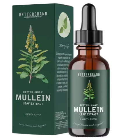 Mullein + Chlorophyll Lung Drops v2